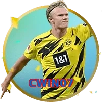 CWIN07