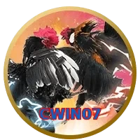 CWIN07