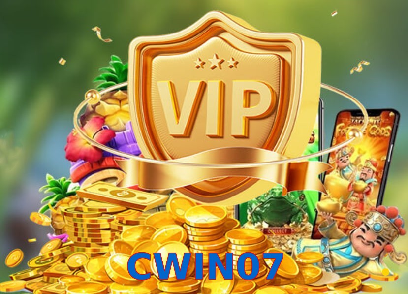CWIN07